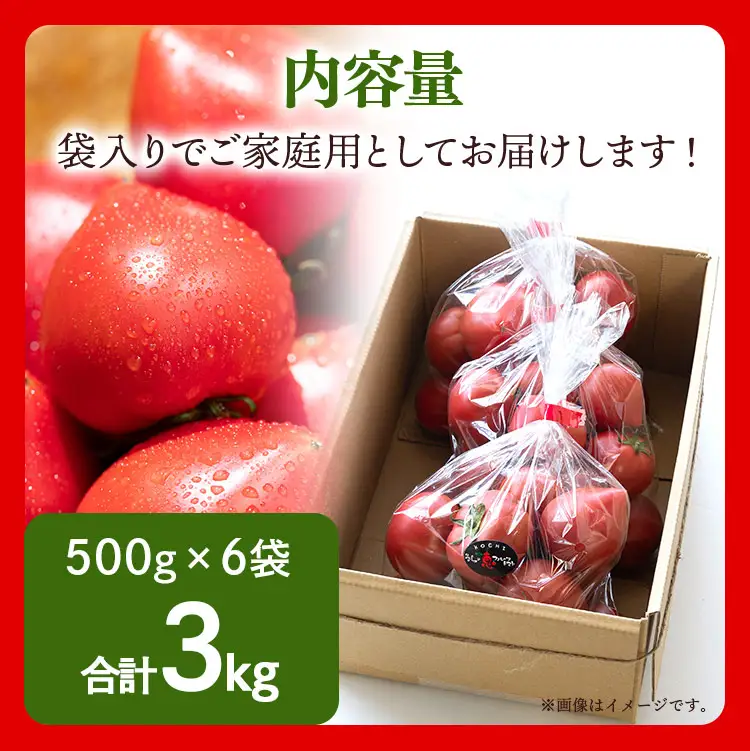 【先行受付】野菜ソムリエが育てた 家庭用 フルーツトマト 合計3kg(500g×6袋) 甘い 高知 うしの恵 小分け - 野菜 とまと 産地直送 料理 アレンジ サラダ 完熟 甘い あまい フレッシュ さっぱり 酸味 うしの恵 小分け おいしい 国産 高知県 香南市 mj-0030
