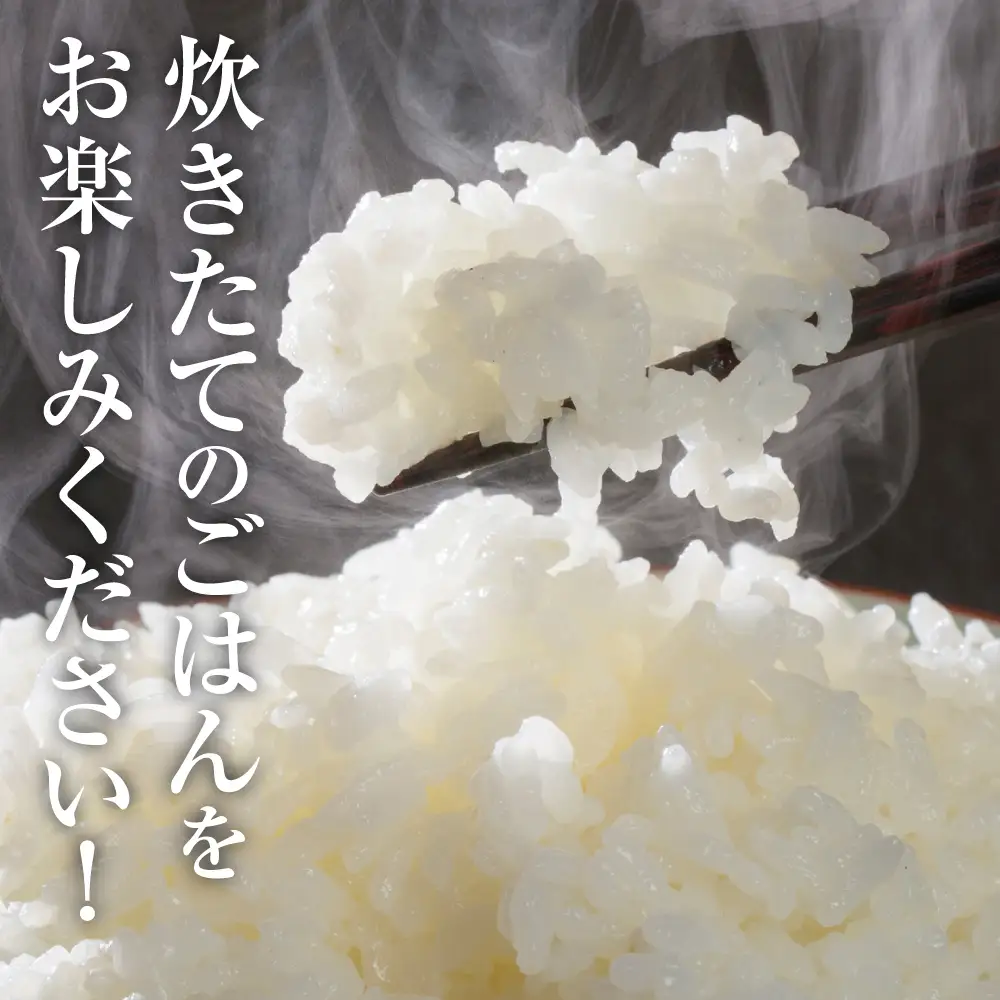精米 【先行予約】 《令和8年産》 熊本県産 きぬひかり 10kg (5kg×2袋) 【2026年9月上旬より順次発送】 精米