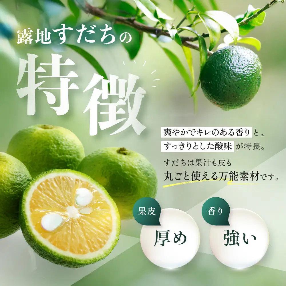 露地すだち 1箱（約1kg） 先行予約 ｜すだち