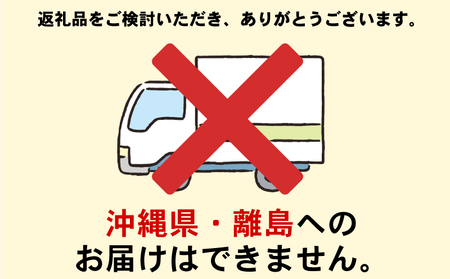【毎月数量限定】訳あり アイス おまかせ 10個 詰め合わせセット アイス