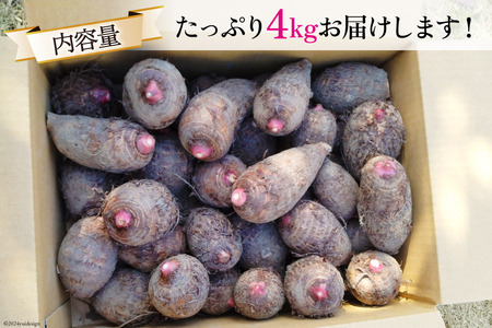 【期間限定発送】 里芋 赤芽 4kg