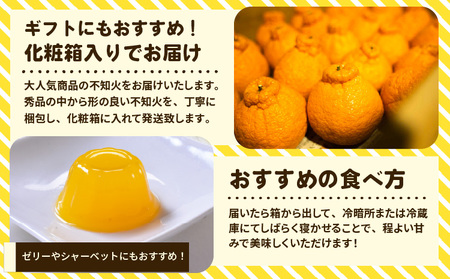 先行予約 宇城市産 完熟不知火 化粧箱入り 約3kg (8~10玉)【2027年2月上旬～3月下旬頃順次発送予定】高橋果樹園