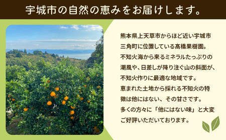 先行予約 宇城市産 訳あり 完熟不知火 約7kg【2027年2月上旬～3月下旬頃順次発送予定】【髙橋果樹園】