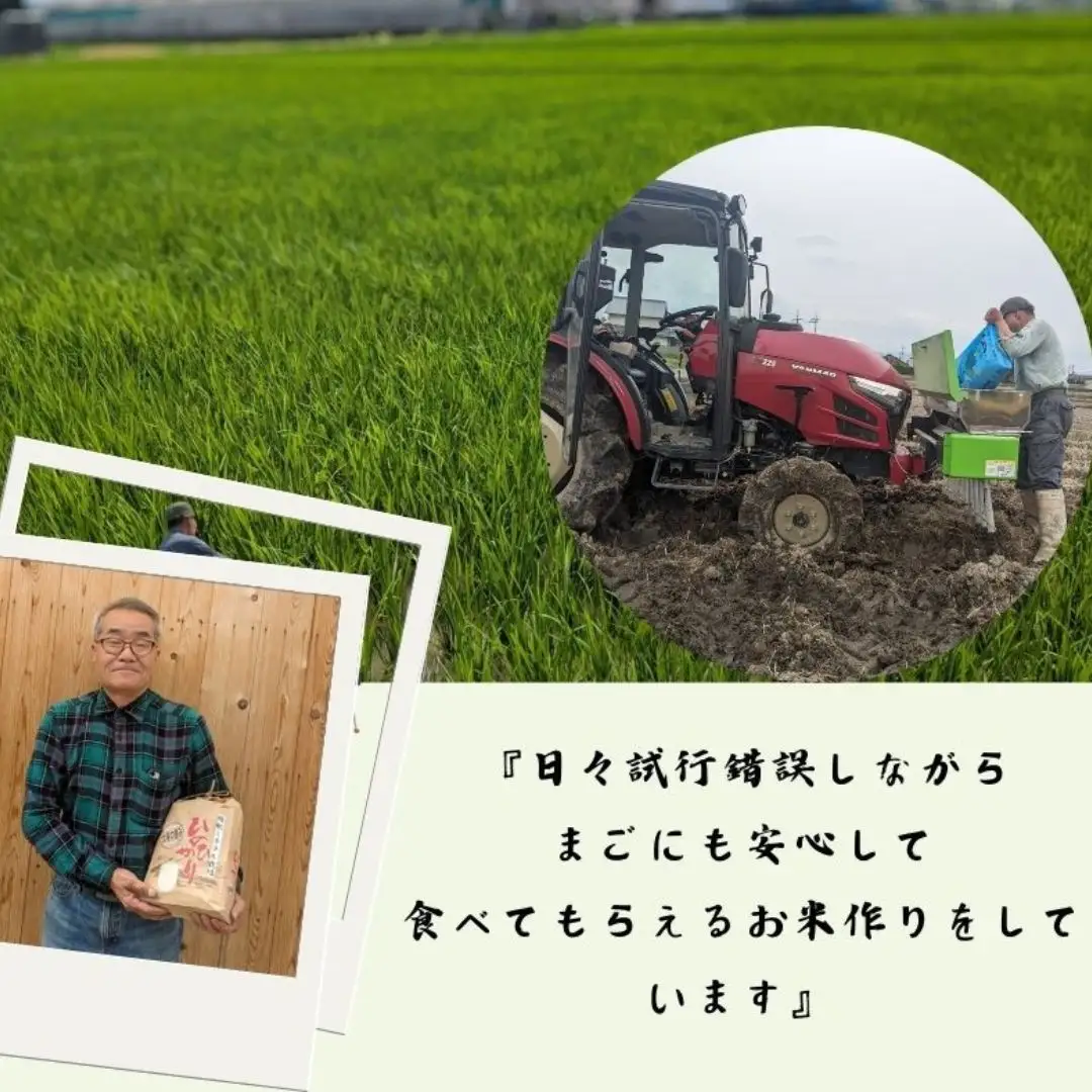 【6回定期便】ひのひかり 玄米 5kg×6回 全30kg 奈良県 三宅町 ヒノヒカリ 志埜米穀店