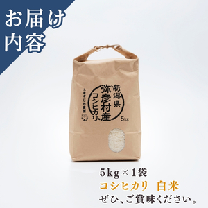 コシヒカリ 精米 5kg 弥彦村 石井農園 白米 | コシヒカリ 新潟県 令和7年産