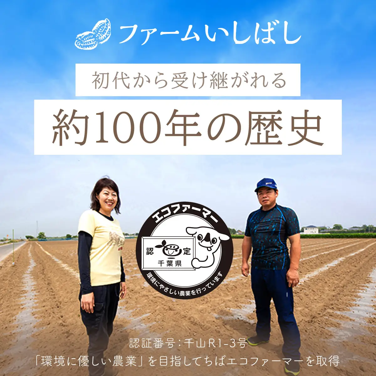 【先行予約】【11月上旬から発送】落花生・Ｑなっつのやわらか甘納豆（110ｇ）4個セット SMAH002／ふるさと納税 甘納豆 豆 甘い 落花生 千葉県 山武市 千葉県産