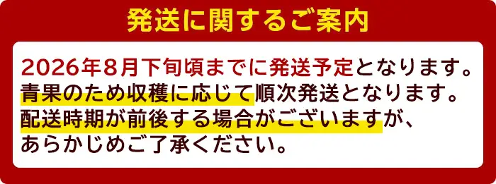 ＜家計応援！数量限定！＞＜2026年8月下旬頃までに発送予定＞完熟アップルマンゴー「紅」(約600g) マンゴー 果物 フルーツ【大徳産業】A495-v03