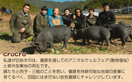 ＜奥地ほうぼく豚を使った贅沢シンケンセット＞豚肉 ぶた お肉 加工品 おつまみ おかず ハム スライス ペッパーウインナー フランクフルト 詰合せ BBQ アウトドア キャンプ サラダ 愛媛県 西予市 【冷蔵】『4か月以内に順次出荷予定』MNP0006