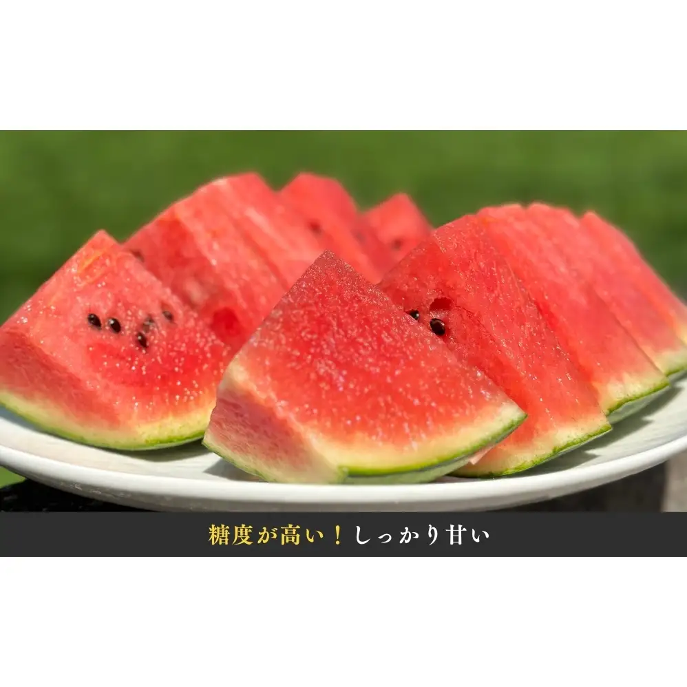 【予約受付中・7月下旬以降順次発送】 天空のスイカ 【数量限定】 すいか 西瓜 小玉スイカ 栽培期間中農薬不使用　鳴門　 甘い 小玉 果物  フルーツ ギフト 人気商品  敬老の日 　スイカ