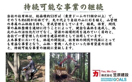 薪（広葉樹混合）20kg 長さ30～35cm 乾燥まき 糸魚川産 薪ストーブ キャンプ アウトドア マキ 乾燥 薪 マキ まき 焚火 たき火 アウトドア アウトドア用品 株式会社笠原建設