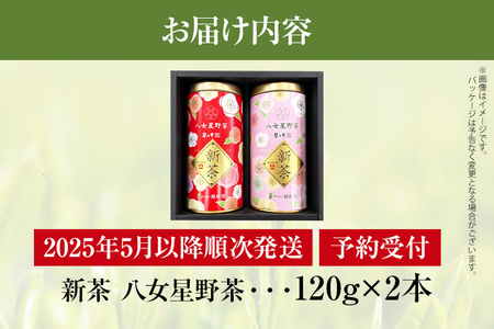 【予約返礼品/2025年5月以降順次発送】新茶 八女星野茶 120g×2本 緑茶 八女茶 お茶 茶葉 セット お取り寄せグルメ お取り寄せ 福岡 お土産 九州 福岡土産 取り寄せ グルメ 福岡県
