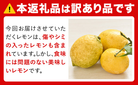 レモン 訳あり 5kg 株式会社まるせい農園