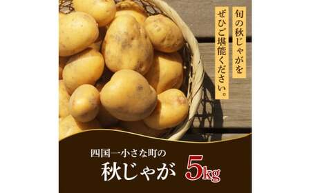  令和8年産 秋じゃがいも  5kg ★令和8年11月下旬発送開始★