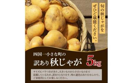 【訳あり】秋じゃがいも 令和8年産 5kg 訳あり 令和8年11月下旬発送開始