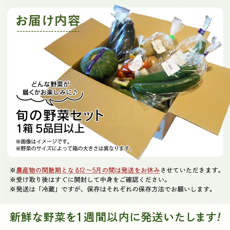【1週間以内で発送！】道の駅駅長チョイス！ 旬の野菜セット 5品目以上 / 季節 野菜 ボックス BOX セット セレクト 農家 おまかせ 多品目 旬 詰め合わせ 根菜 葉物  [aw090-a002]