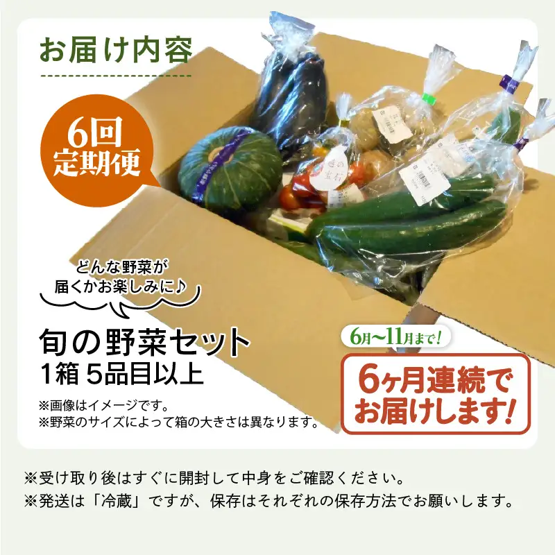 【先行予約】【定期便6回】道の駅駅長チョイス！ 旬の野菜セット 5品目以上 / 季節 野菜 ボックス BOX セット セレクト 農家 おまかせ 多品目 旬 詰め合わせ 根菜 葉物 ※2027年6月上旬より順次発送 [aw090-c001]