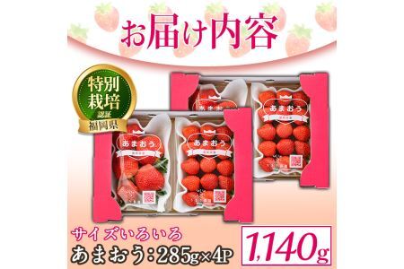 ＜予約受付中！2027年2月より順次発送予定＞＜不揃い＞あまおう(計1.14kg・285g×4P) 苺 いちご イチゴ フルーツ 果物 ヨーグルト ジャム スムージー 冷蔵 特別栽培 福岡県 国産＜離島配送不可＞【ksg1222】【うるう農園】