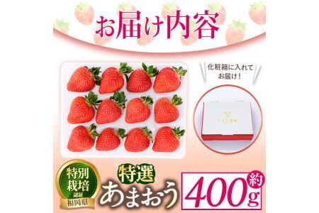 ＜予約受付中！2026年12月より順次発送予定＞特選あまおう(約400g) 苺 いちご イチゴ 国産 福岡県 果物 フルーツ ヨーグルト ジャム スムージー 冷蔵 特別栽培＜離島配送不可＞【ksg1318】【うるう農園】