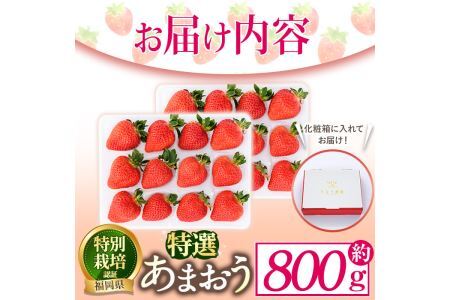 ＜予約受付中！2026年12月より順次発送予定＞特選あまおう(約800g)  苺 いちご イチゴ 国産 福岡県 果物 フルーツ ヨーグルト ジャム スムージー 冷蔵 特別栽培＜離島配送不可＞【ksg1319】【うるう農園】