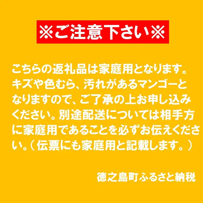 ≪今が旬！≫訳あり！【家庭用】徳之島産完熟マンゴー1kg（2～3玉）フルーツ わけあり 訳あり 果物