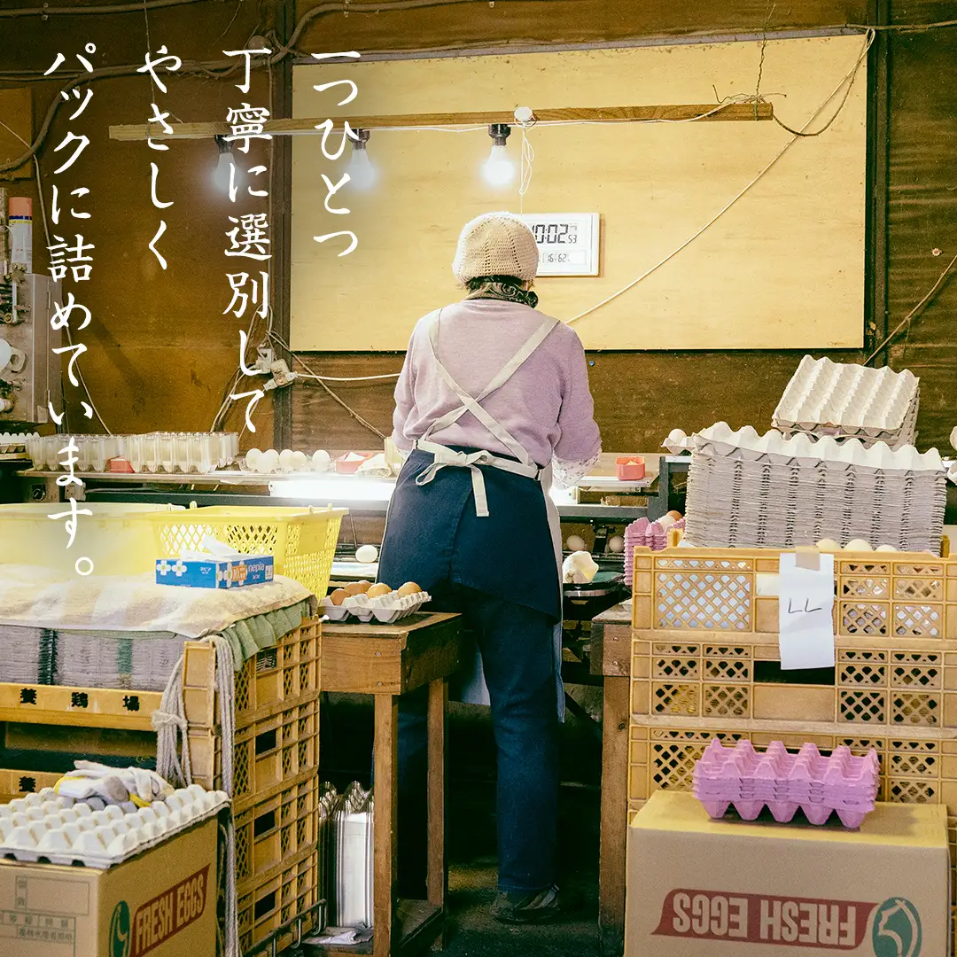 もったいない卵 30粒 ( 26粒 + 破損補償分 4粒) 卵 たまご 鶏 養鶏場直送　新鮮　訳アリ　規格外　お得 ふるさと納税 5000円 [CZ005ya]
