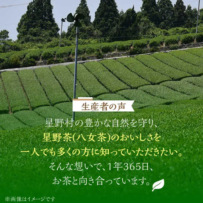 【新茶】【2026年産】星野村の八女茶 抹茶 妙見の里 濃茶用 20g 【2026年6月22日以降順次発送】 [ABDD061]お茶 八女茶 日本茶 高級 福岡 贈り物