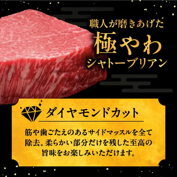 【全6回定期便】博多和牛6種 定期便 [ADBM154] ヒレ
