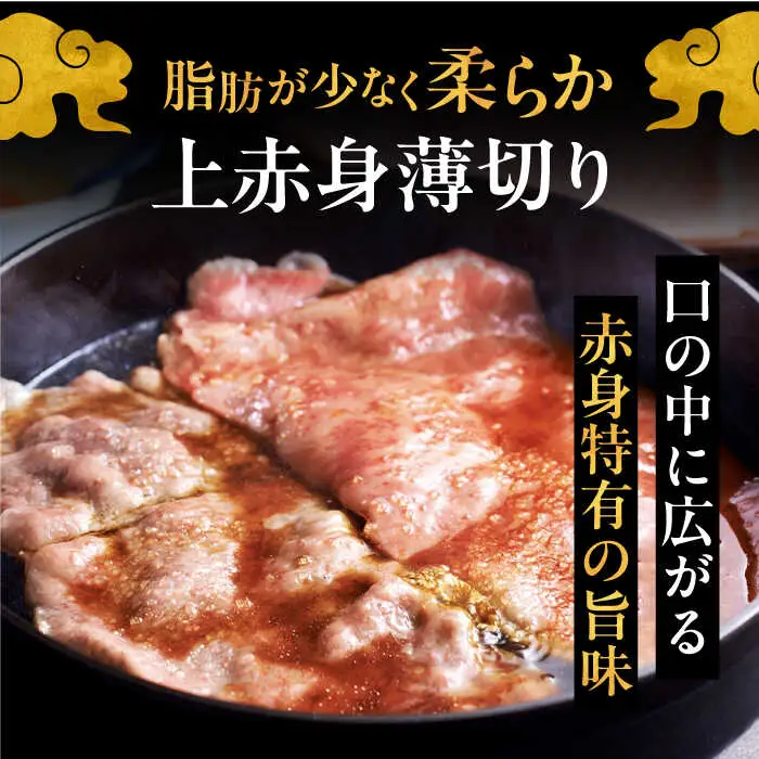 【全12回定期便】博多和牛 贅沢 食べ比べ 2人前( ステーキ すき焼き しゃぶしゃぶ ハンバーグ ) [ADBM155] サーロイン ヒレ シャトーブリアン 赤身 ハンバーグ ロース 定期便