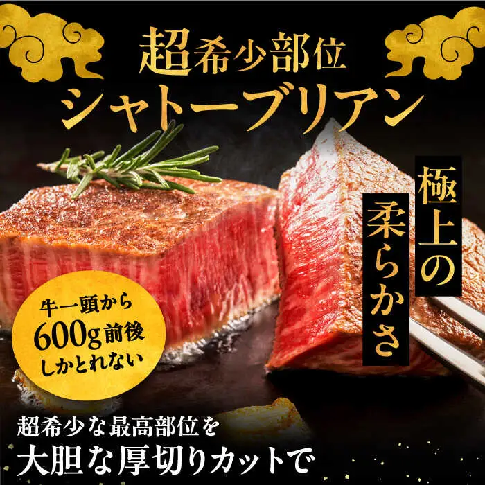 【全12回定期便】博多和牛 王道 食べ比べ 定期便 4人前 ( サーロイン ステーキ / 特選 ロース スライス / シャトーブリアン ) [ADBM168] ステーキ ステーキ シャトーブリアン ロース定期便 