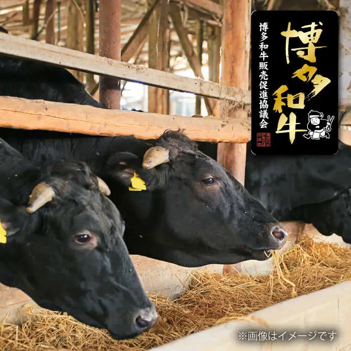 博多和牛 ロースステーキ 合計400g 200g×2枚 和牛 牛肉 桂川町/ワイエスフード株式会社 [ADBP002] 贅沢 希少部位 希少肉 レア ギフト 
