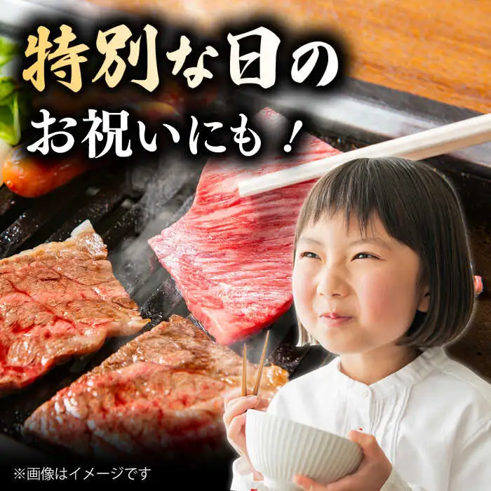 【12回定期便】 博多和牛 肩ロース 400g 焼肉 和牛 牛肉 九州産 国産 桂川町/ワイエスフード株式会社 [ADBP006] 国産牛 牛肉 肉 肩 ロース 焼き肉用 定期便 