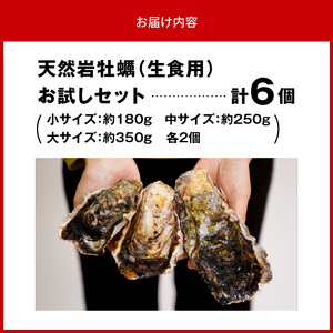 天然岩牡蠣お試しセット(大・中・小サイズ)各2個 N036-YA0382