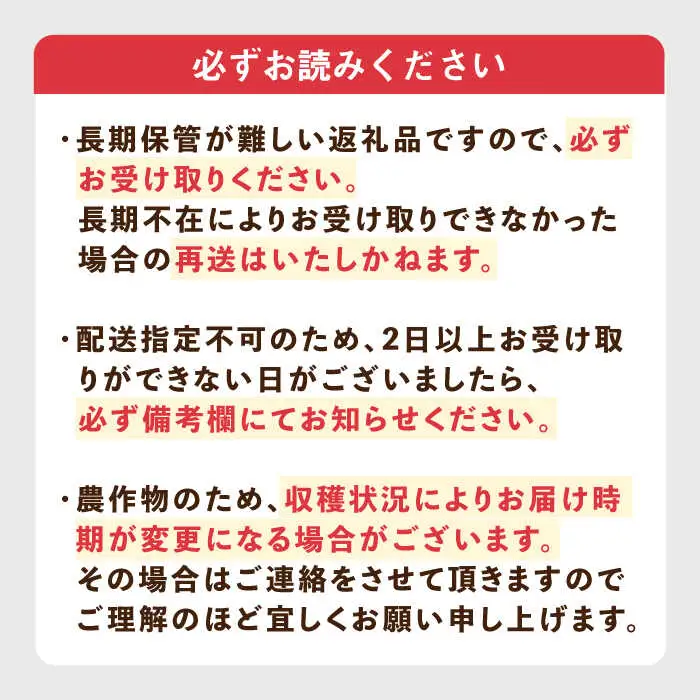 【先行予約】いちご ゆめのか 1kg [JBO138] イチゴ 苺