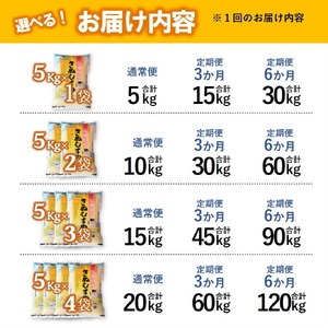 【ブランド米 きぬむすめ】精米５kg（5kg×1袋）／10-104 精米 米 お米 ブランド米 精米 米 お米 ブランド米