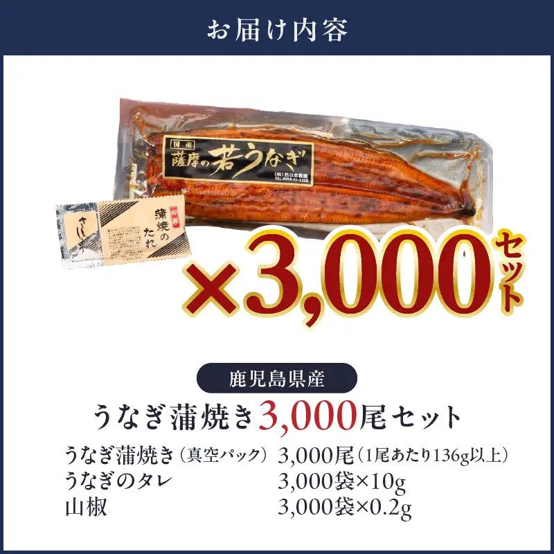  2626 どうぞ、召し上がれ！うなぎ養殖量日本一からの挑戦状！【うなぎ蒲焼き3000尾】 KN058-002-3000 魚 鰻