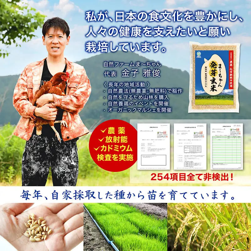 先行予約 発芽玄米 ササニシキ 3kg(600gx5袋)   令和8年 無農薬 新潟県産 発芽玄米