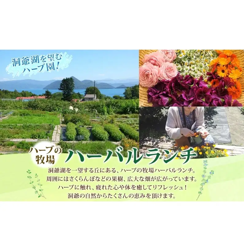 アロマウォーター蒸留体験 化粧水 ハーバルランチ アロマウォーター蒸留体験
