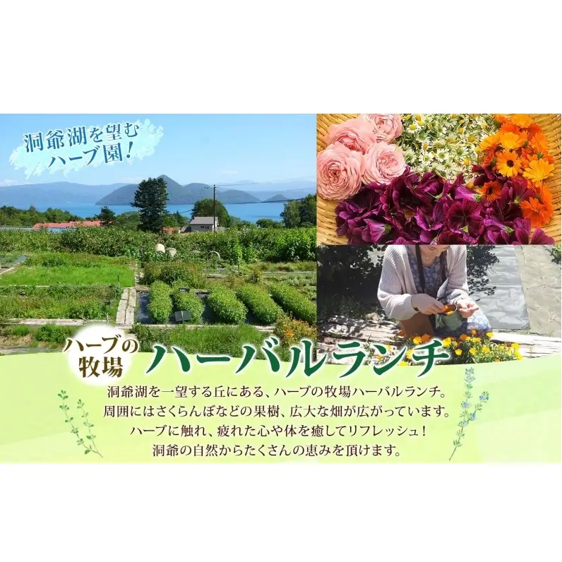 アロマウォーター蒸留体験 ハーブ ハーバルランチ アロマウォーター蒸留体験