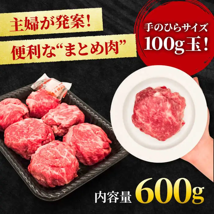 【まるっと便利】佐賀牛 赤身とバラ肉の切り落とし 600g 吉野ヶ里町/NICK’S MEAT[FCY029]