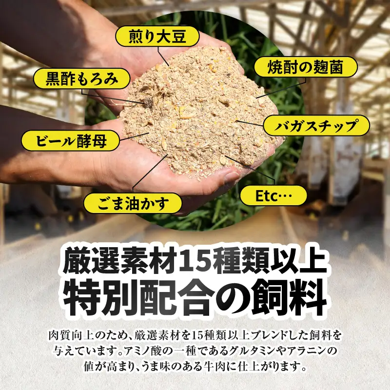 2475 【 鰻 も 牛 もどっちもイエェェェーイ！8】鹿児島県大隅産 うなぎ蒲焼 150g うしの中山サーロインステーキ200g KN050-015 肉 牛肉 左官 冷凍