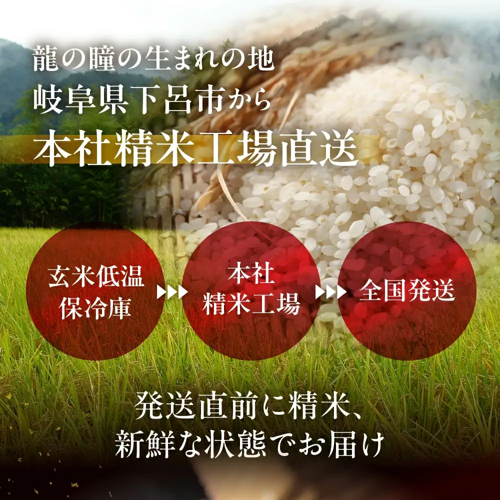 先行予約受付【2026年産米】（2027年4月発送）3kg×1袋 飛騨産・龍の瞳(いのちの壱) 株式会社龍の瞳直送【14-2【4】】