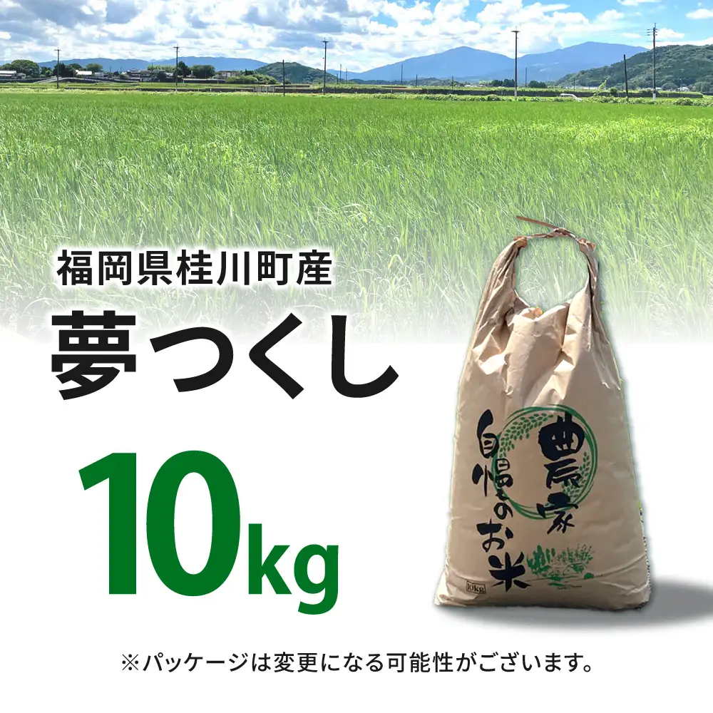  夢つくし 10kg 福岡県産 白米 [ADBB004] 米