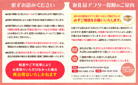 《先行受付》大江町産 山形ラフランス 5kg 13～20玉 L～5L【2026年11月中旬頃～発送予定】 048-005