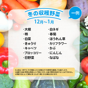 竜王町産 野菜 詰め合わせ セット 野菜セット 野菜 詰め合わせ 野菜 季節 野菜ソムリエ 厳選 採れたて やさい 10～14品