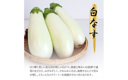 食べ比べ！白と黒のナスセット 黒ナス8本 白ナス4本 