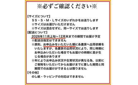 有田みかん「未来への虹」（10kg）(B2-2)