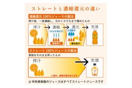 【早和果樹園】飲むみかん20本入（180ml）(B13-4)