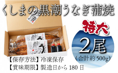 【数量限定】	特大くしまの黒潮うなぎ蒲焼2尾（合計500g前後）_K023-007