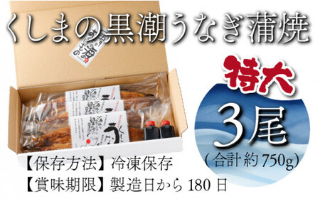 【数量限定】特大くしまの黒潮うなぎ蒲焼3尾（合計750g前後）_K023-008