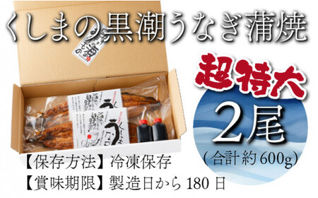 【数量限定】超特大くしまの黒潮うなぎ蒲焼2尾（合計600g前後）_K023-009